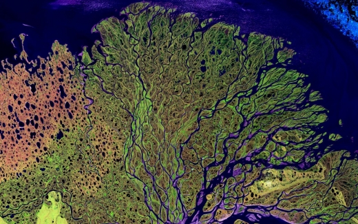 ▲북극해로 흐르는 레나강 하구 모습. 시베리아의 많은 야생동물의 번식지이다.