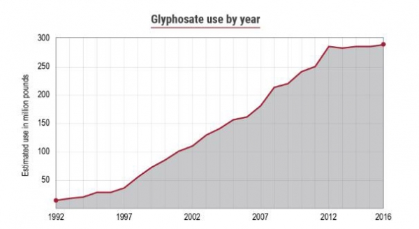▲GMO 작물이 재배되기 시작한 1995년 이후 사용량이 급증한 글리포세이트