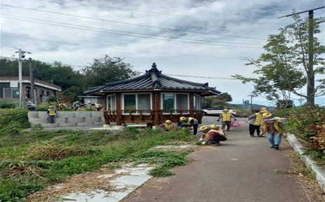 ▲동자북 마을 일대에서 잡초를 제거하는 동자북 봉사단 단원들