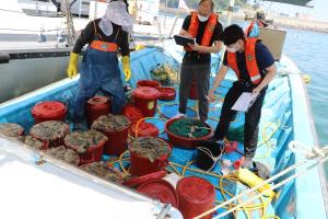 보령해경, 고질적 불법 어업 근절 특별단속
