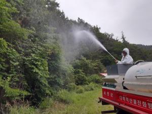 흰불나방 등 산림병해충 방제 총력