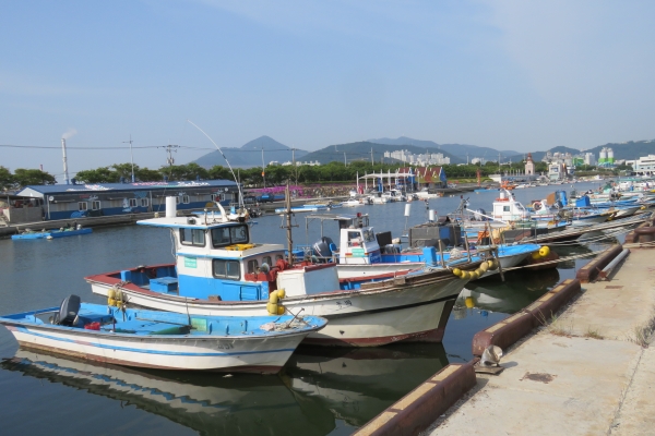▲낙동강 하구에 위치한 장림포구에 어업도 못한채 정박된 배들