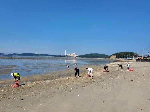 ▲청소년 자원봉사자들이 바닷가 백사장에서 쓰레기를 줍고 있다.