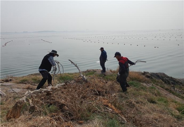 ▲노루섬에 저어새 둥지 재료를 놓아주는 서천지속협 회원들
