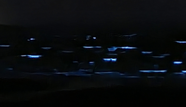 ▲16일 밤 장포리 포구 부근 다사리 해안의 야광충 불빛